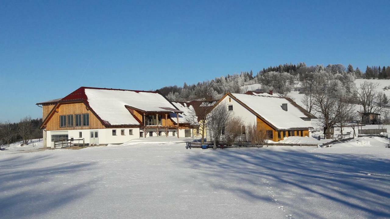 Oetscherblick Fam Winter Frankenfels Exteriér fotografie